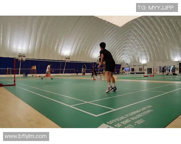 上海羽毛球队在杯赛中的状态分析与表现评估