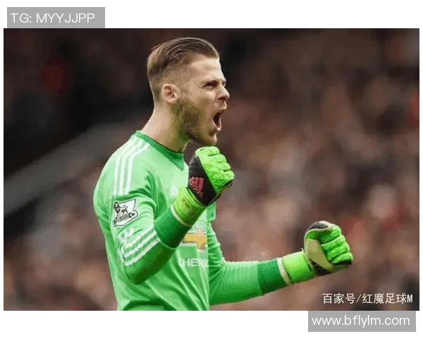 德赫亚：从青涩小将到足球明星的传奇旅程与辉煌成就