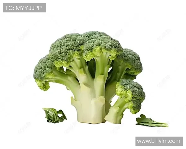 探索足球素菜的美味世界与健康理念,助力绿色饮食新风尚 探索足球素菜的美味世界与健康理念,助力绿色饮食新风尚