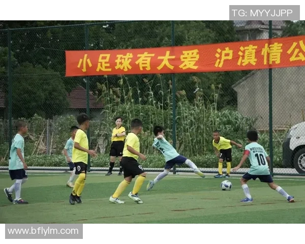 荆州足球公园：畅享绿茵场上的激情与快乐，打造全民健身新天地