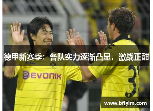 德甲新赛季：各队实力逐渐凸显，激战正酣