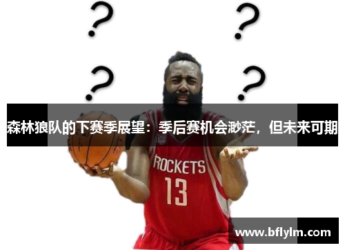 森林狼队的下赛季展望：季后赛机会渺茫，但未来可期