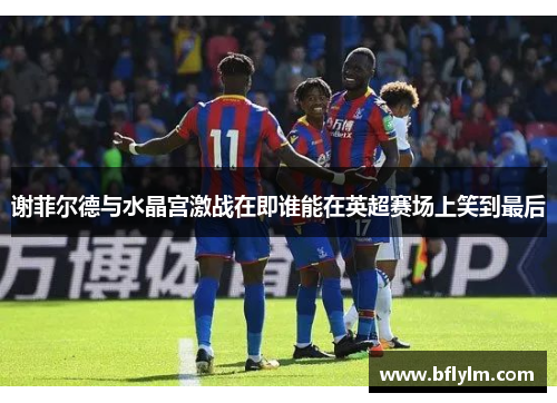 谢菲尔德与水晶宫激战在即谁能在英超赛场上笑到最后